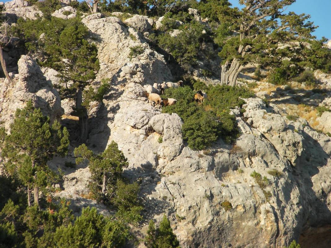 Mut Çukurbağ Köyü Resimleri 4