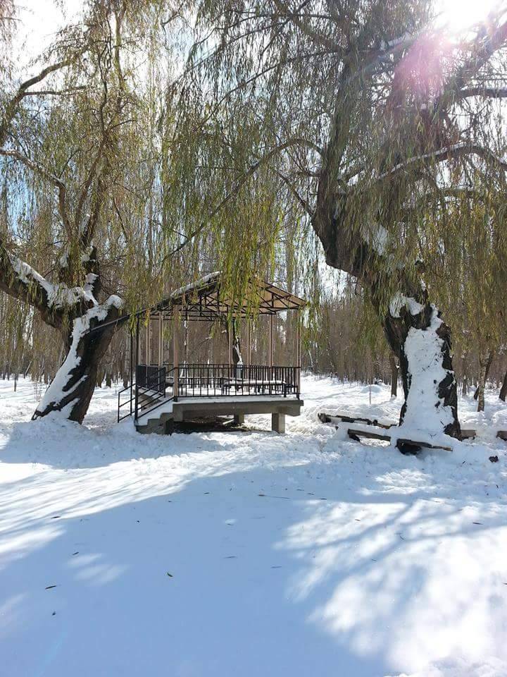 Mut Demirkapı Köyü Resimleri 6