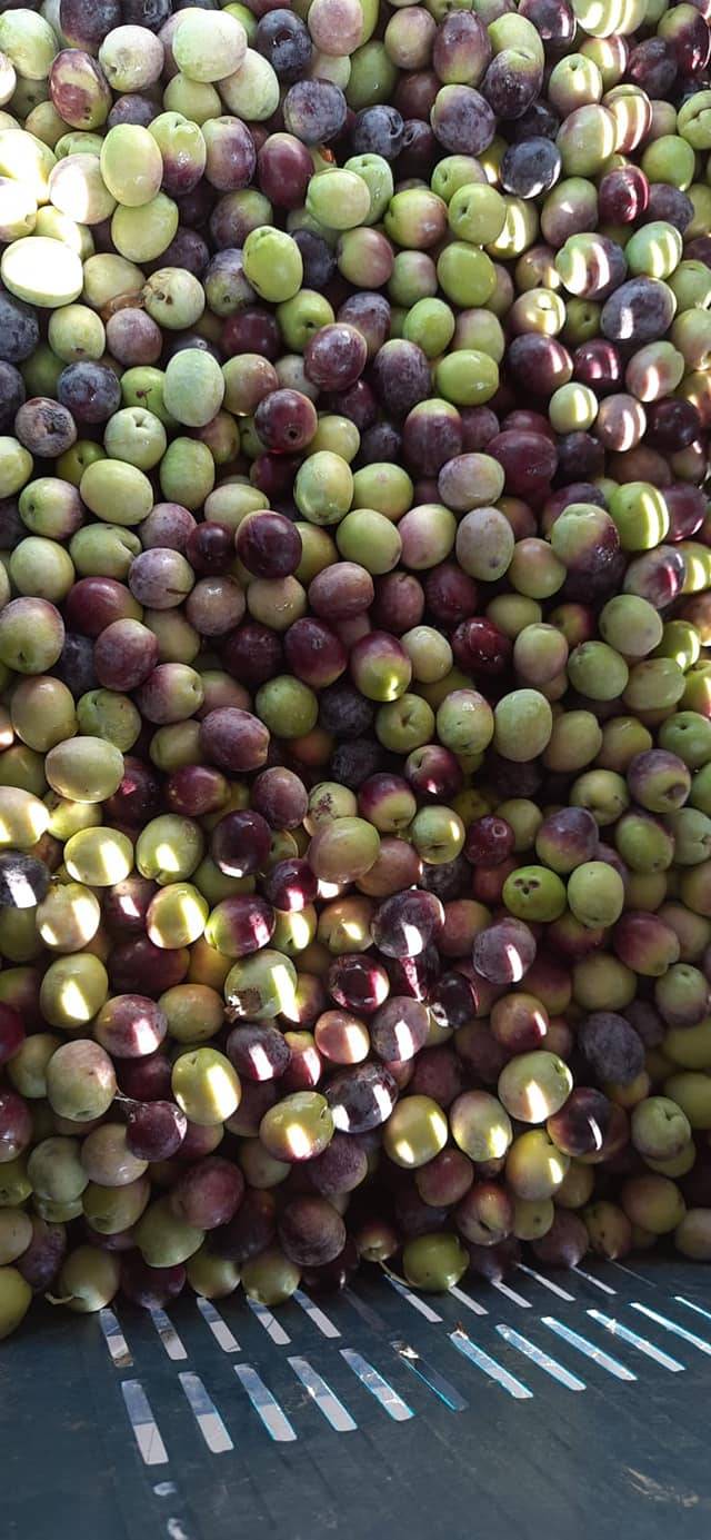 Mut Diştaş Köyü Resimleri 11