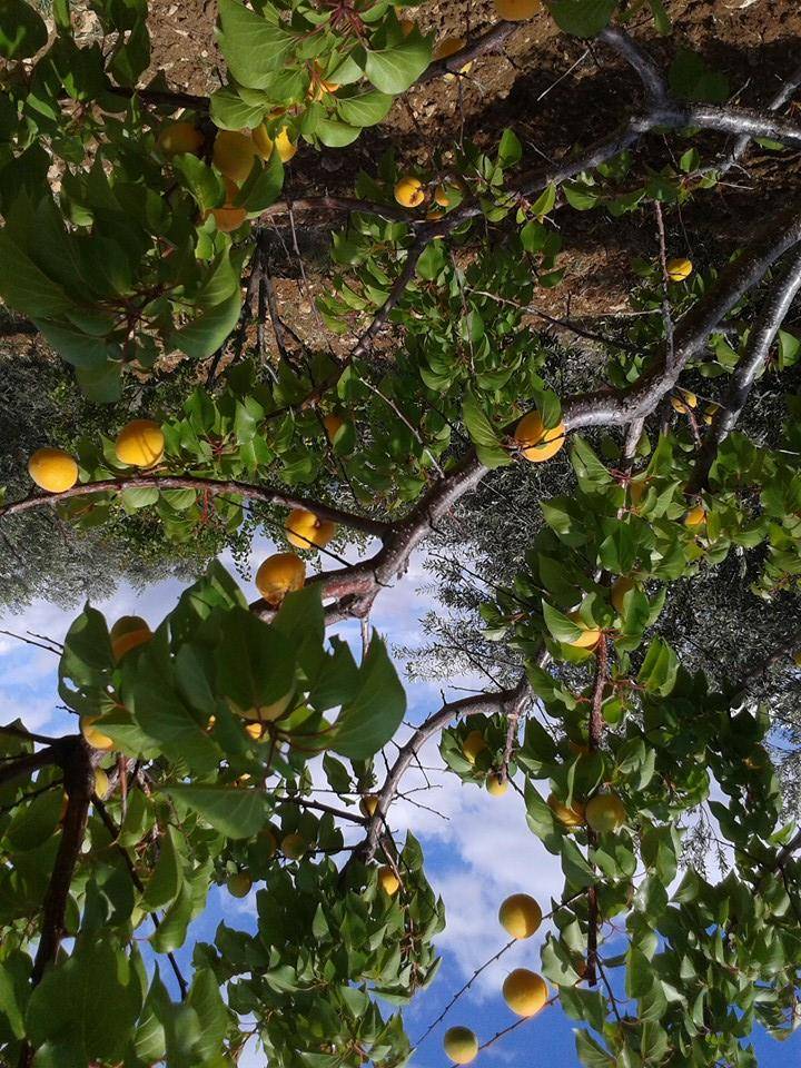 Mut Diştaş Köyü Resimleri 3