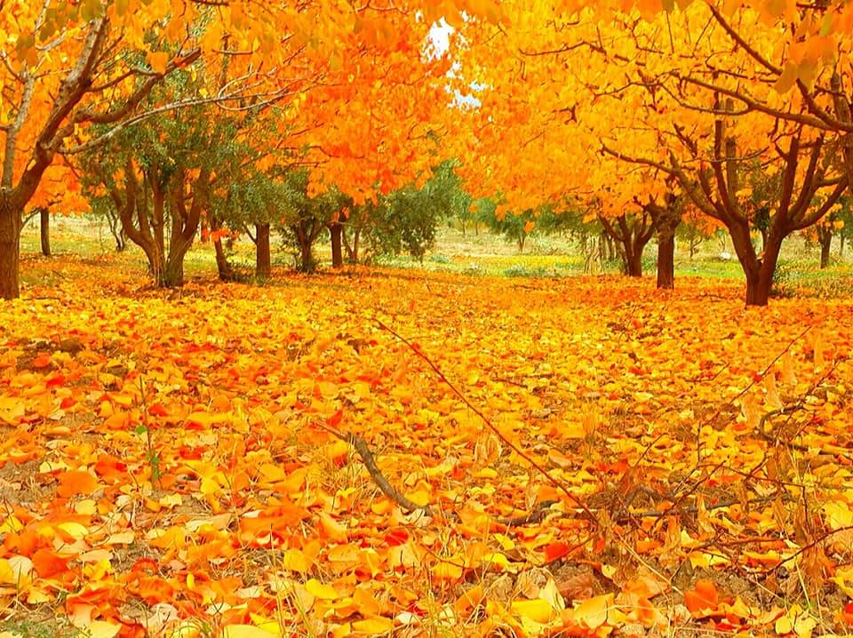 Mut Diştaş Köyü Resimleri 6