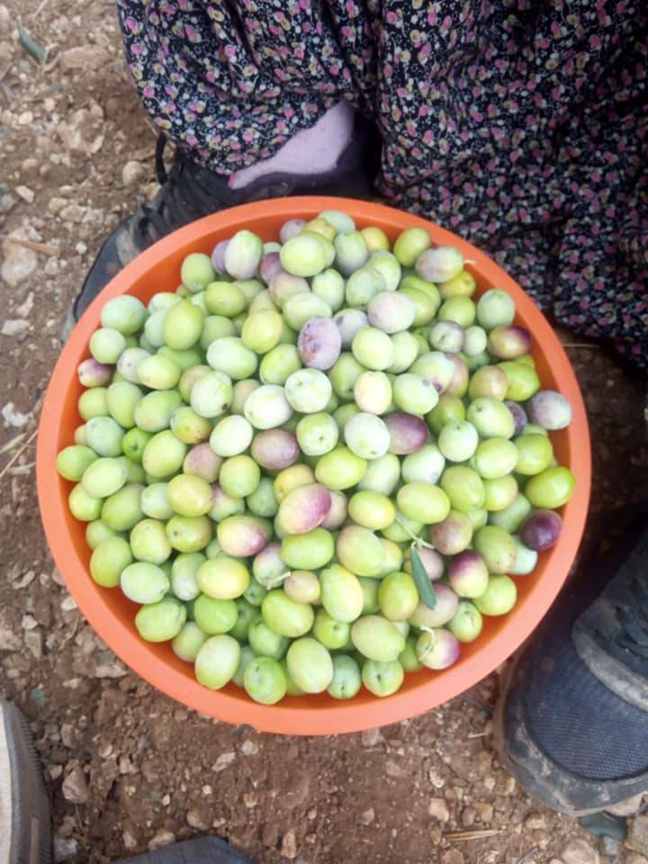 Mut Diştaş Köyü Resimleri 7