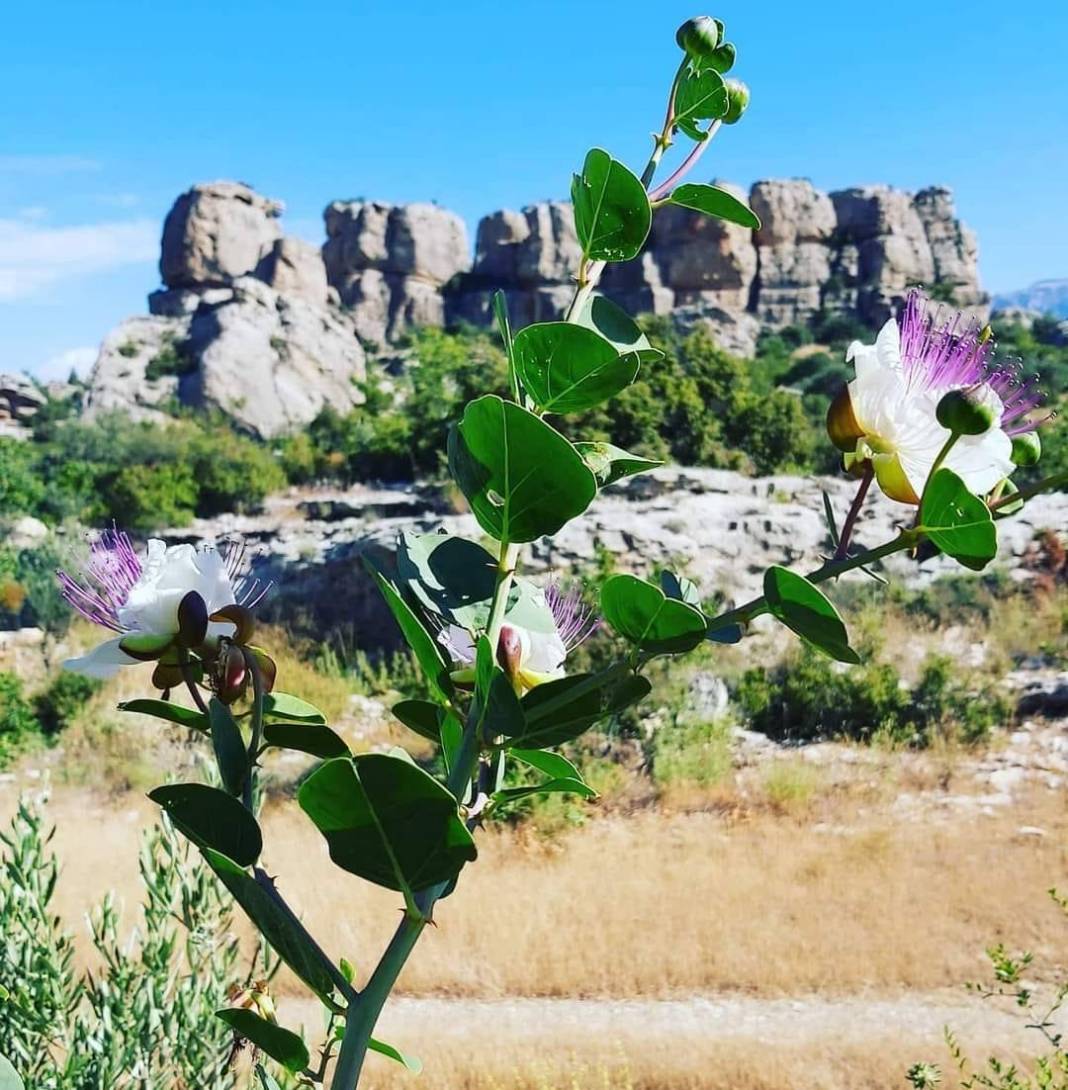 Mut Diştaş Köyü Resimleri 8