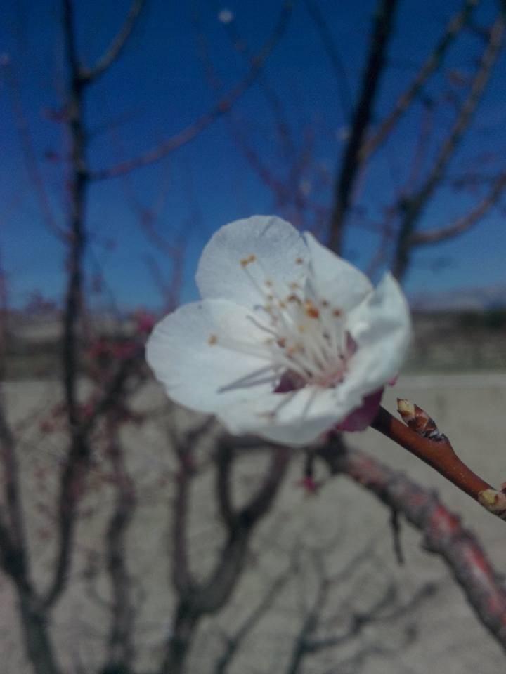 Mut Elbeyli Köyü Resimleri 3