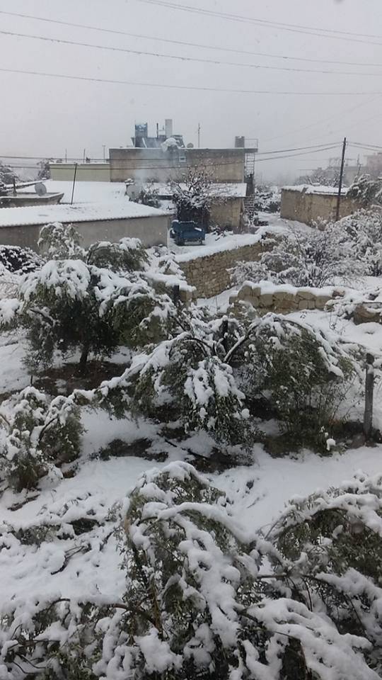 Mut Elbeyli Köyü Resimleri 8