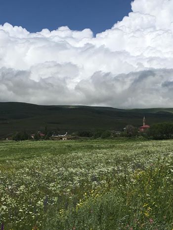 Ardahan Değirmenli Köyü Resimleri 8