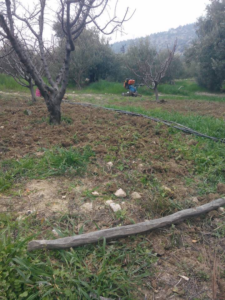 Mut Esençay Köyü Resimleri 4