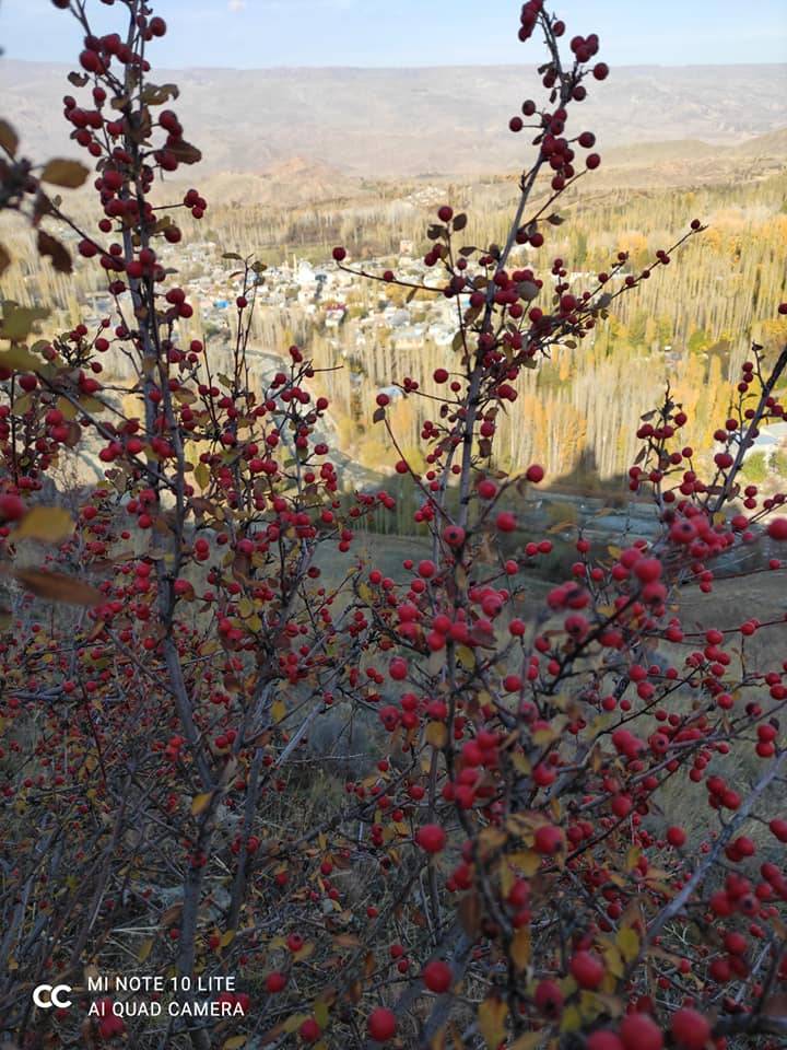 Tuzluca Gaziler Köyü Resimleri 8