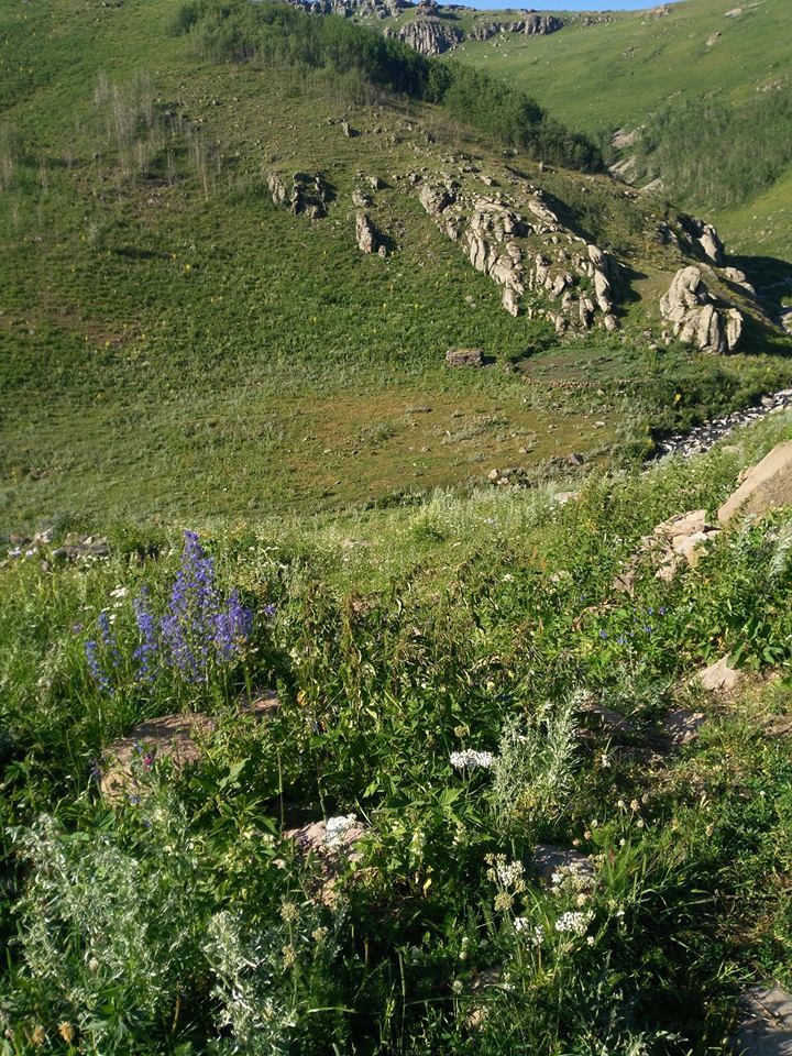 Ardahan Derindere Köyü Resimleri 10