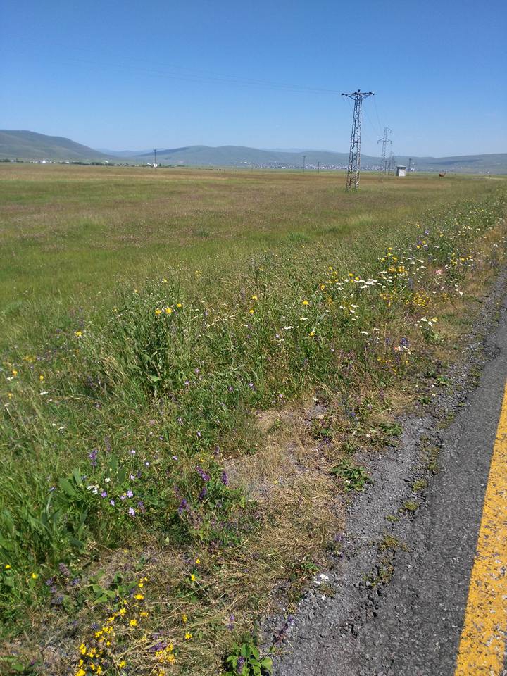 Ardahan Derindere Köyü Resimleri 4