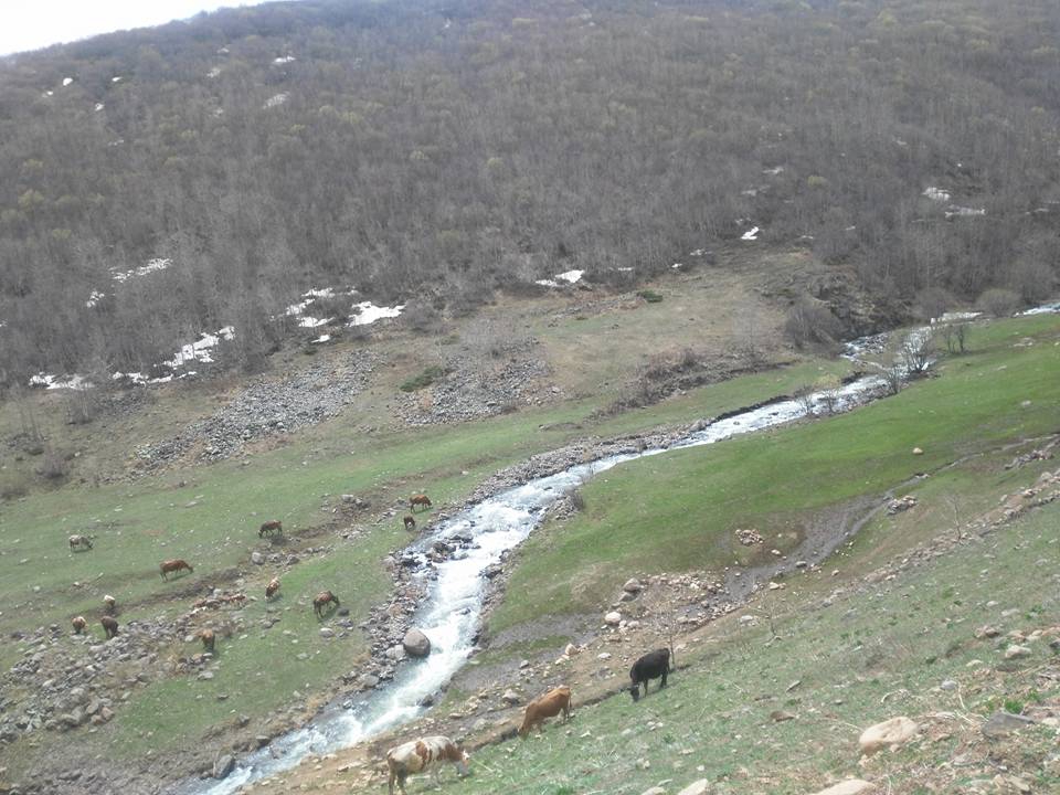 Ardahan Derindere Köyü Resimleri 7