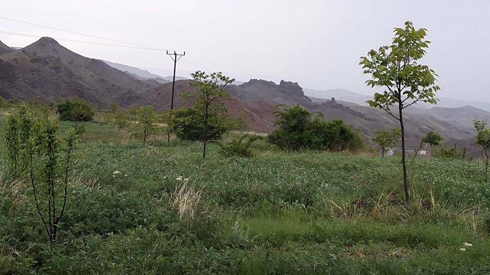 Tuzluca Hadımlı Köyü Resimleri 3