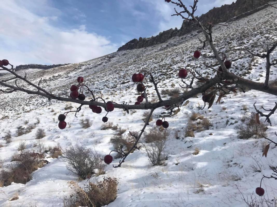 Tuzluca Hadımlı Köyü Resimleri 6