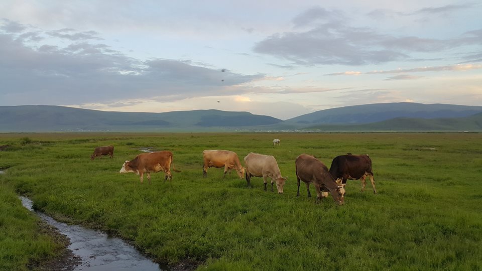 Ardahan Edegül Köyü Resimleri 1