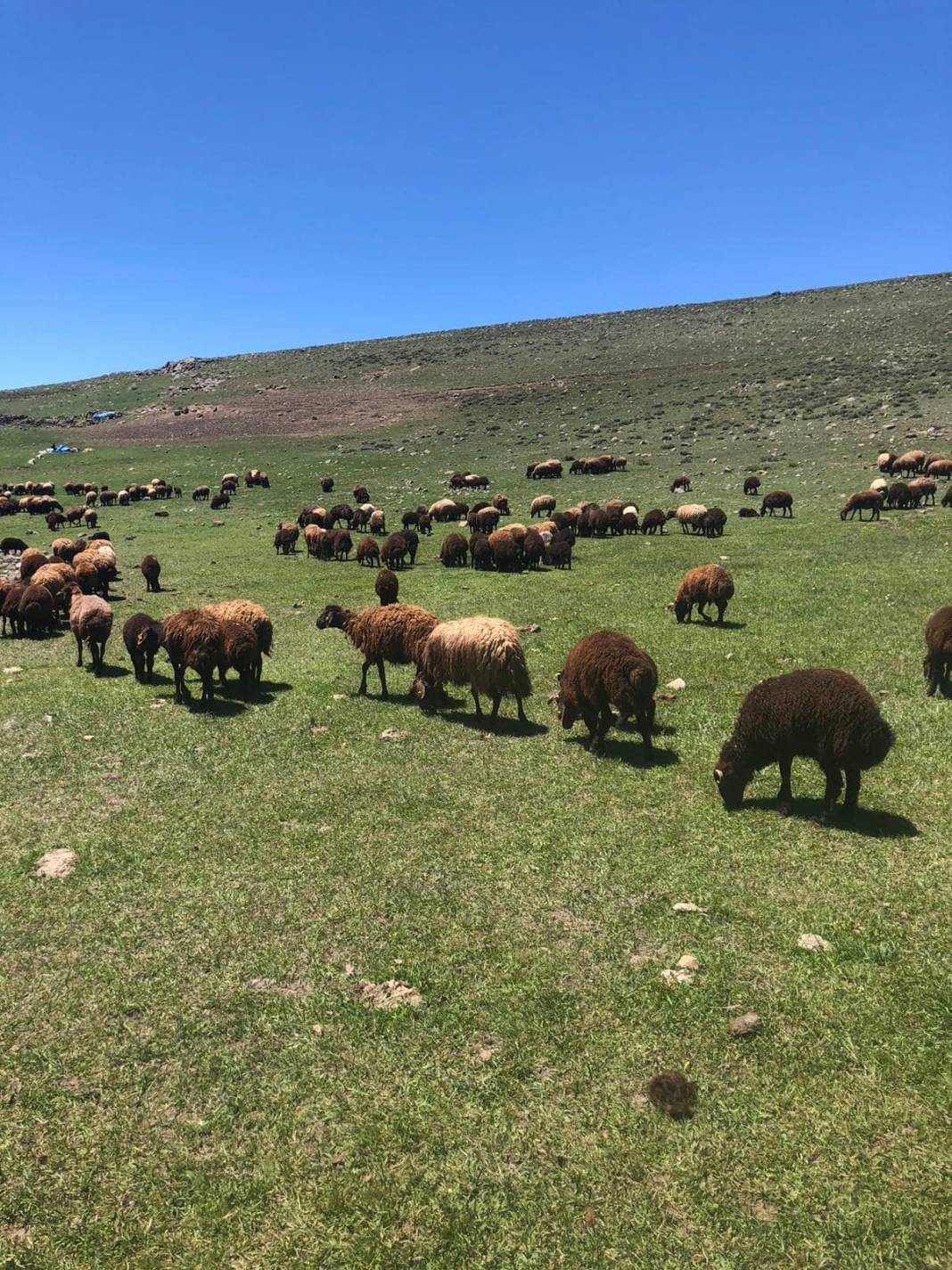 Tuzluca Hamurkesen Köyü Resimleri 3