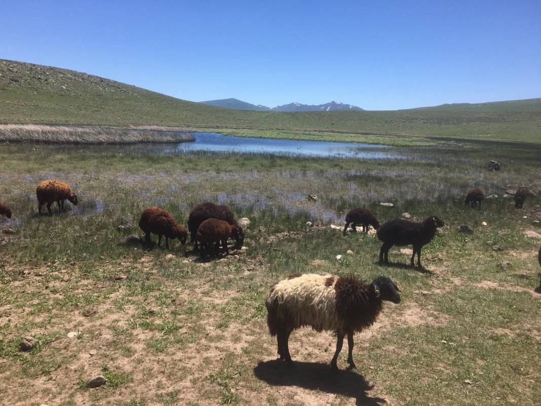 Tuzluca Hamurkesen Köyü Resimleri 4