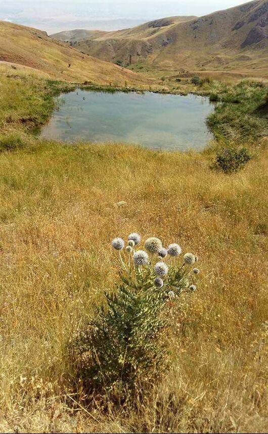 Tuzluca Kılıçlı Köyü Resimleri 3