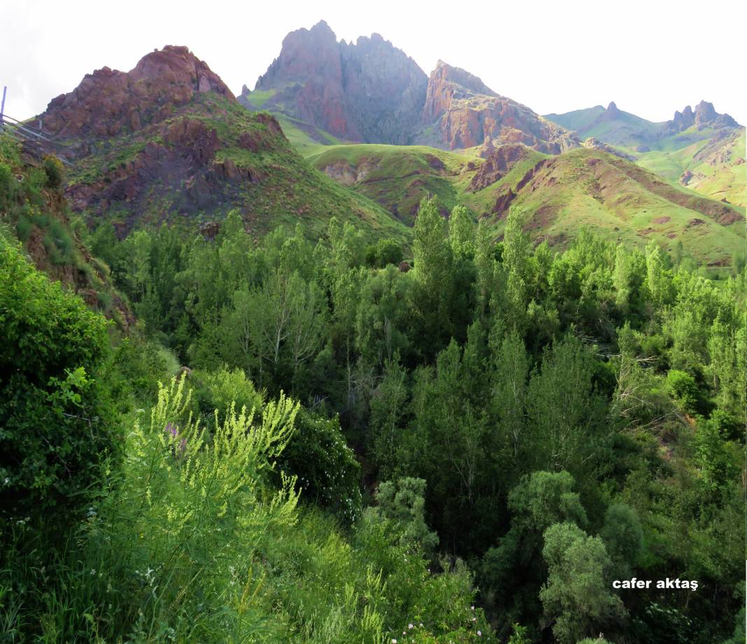 Tuzluca Kelekli Köyü Resimleri 2