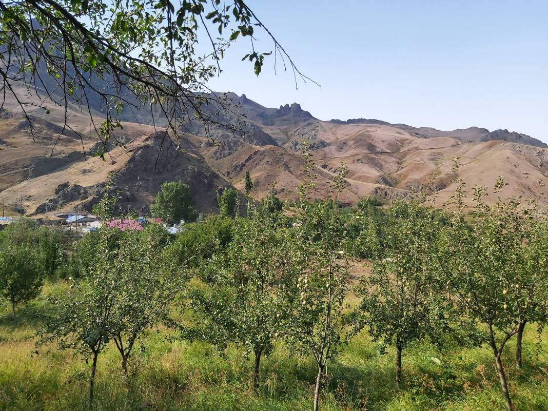 Tuzluca Kelekli Köyü Resimleri 4