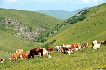 Ardahan Gölgeli Köyü Resimleri 1