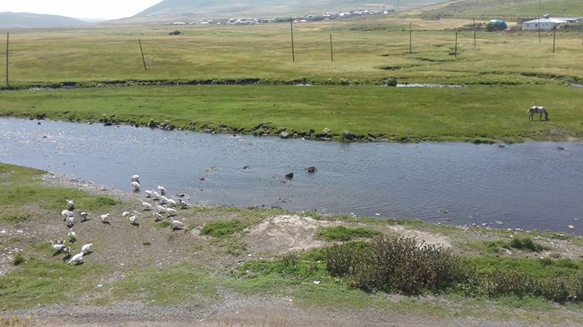 Ardahan Gölgeli Köyü Resimleri 12