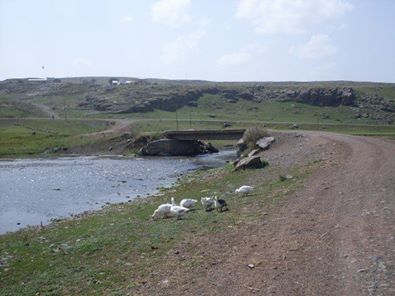 Ardahan Gölgeli Köyü Resimleri 6