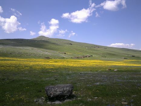 Ardahan Gölgeli Köyü Resimleri 7