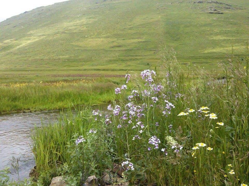 Tuzluca Kayaören Köyü Resimleri 4