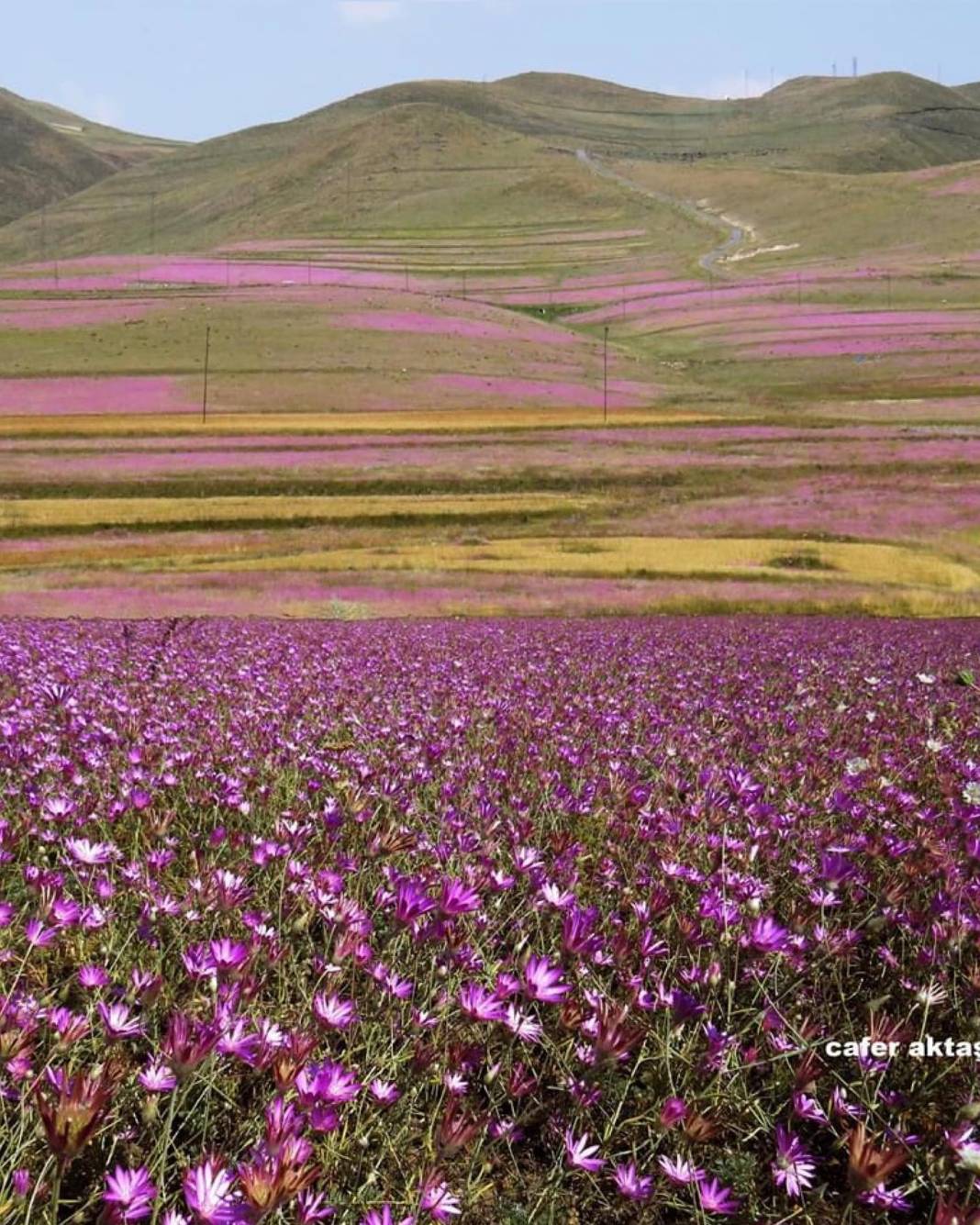 Tuzluca Karakoyun Köyü Resimleri 4