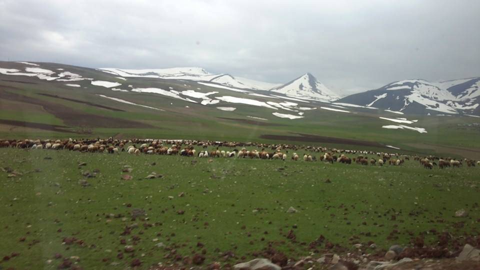 Tuzluca Karacaören Köyü Resimleri 2