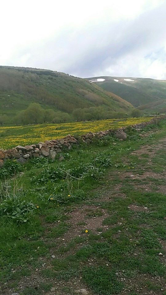 Ardahan Gürçayır Köyü Resimleri 1