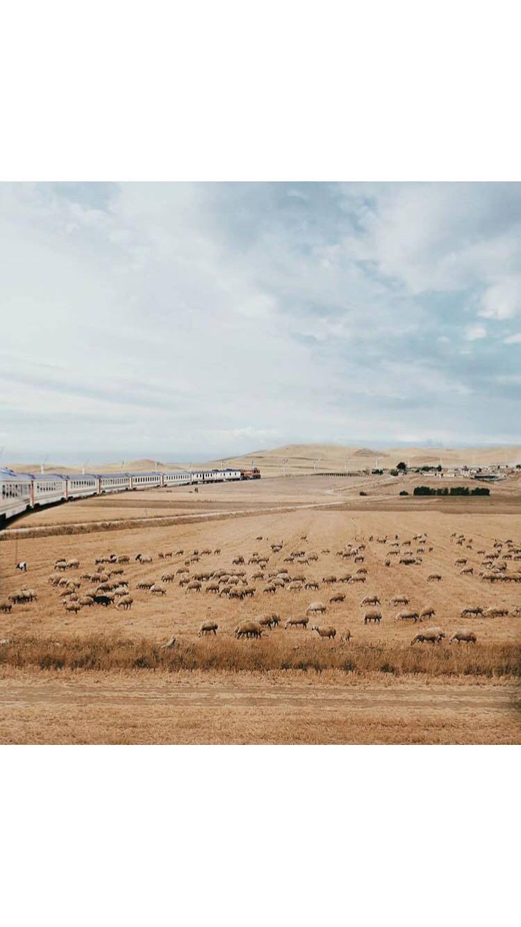 Yerköy Hacıosmanlı Köyü Resimleri 3