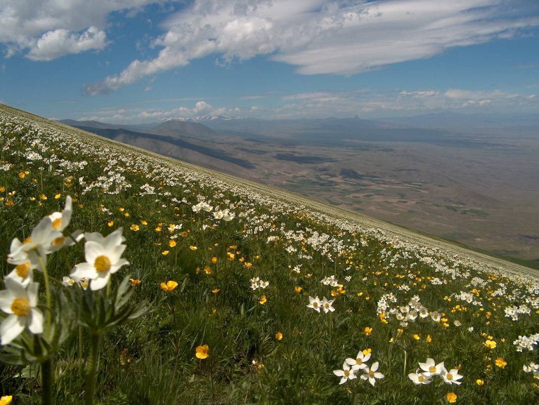 Tuzluca Kumbalak Köyü Resimleri 8
