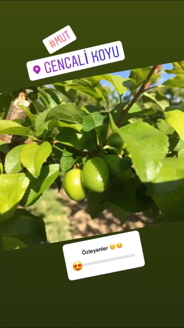 Mut Gençali Köyü Resimleri 4