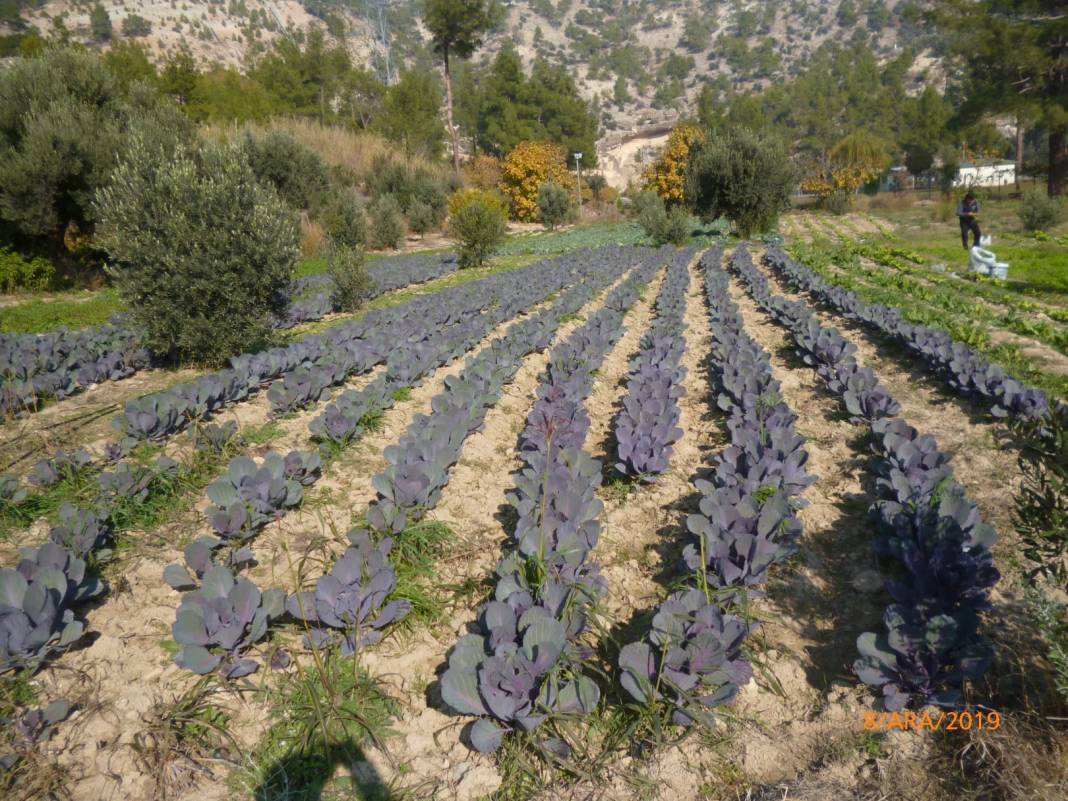 Mut Gençali Köyü Resimleri 6