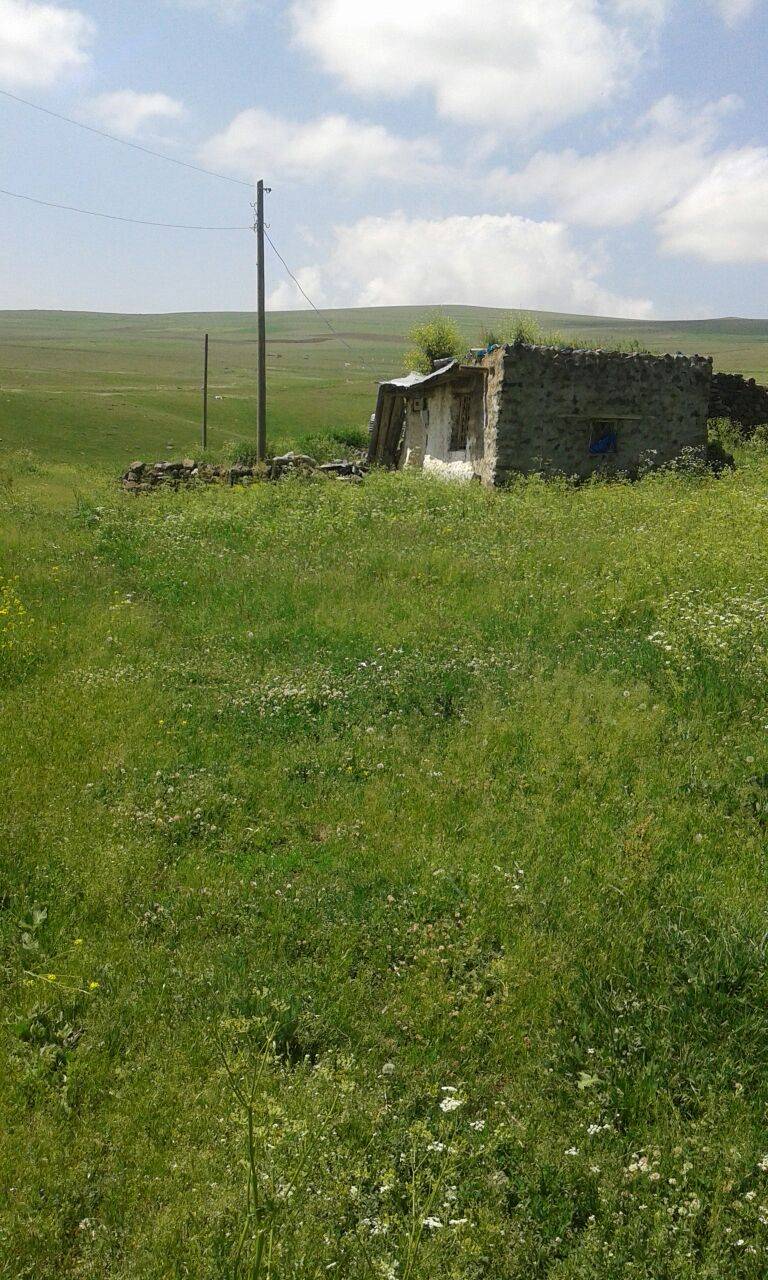 Tuzluca Laleli Köyü Resimleri 2