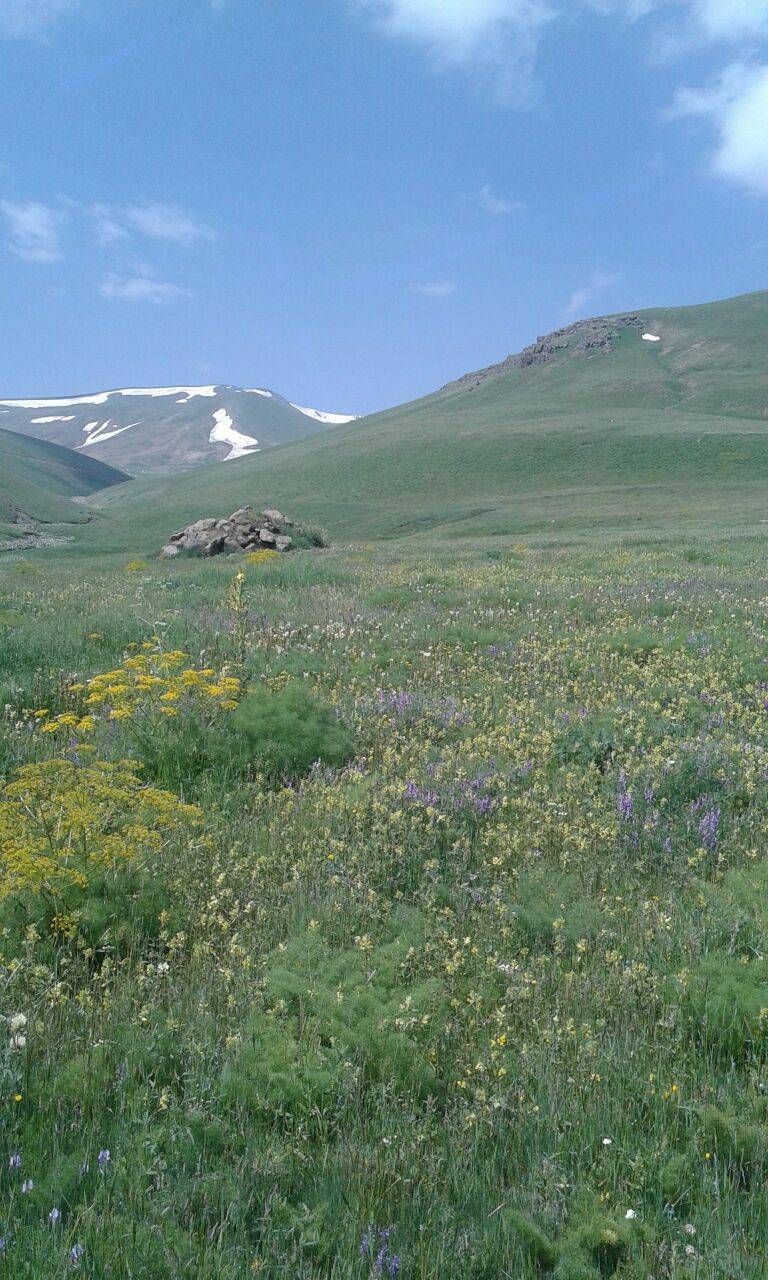 Tuzluca Laleli Köyü Resimleri 8