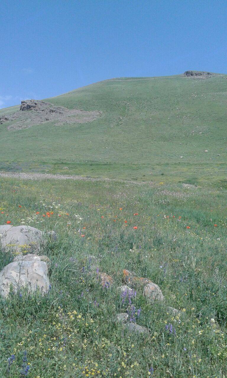 Tuzluca Laleli Köyü Resimleri 9