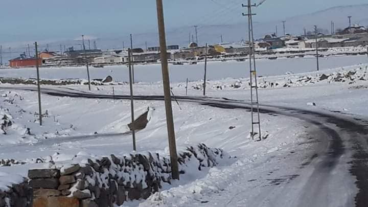 Ardahan Hacıali Köyü Resimleri 3