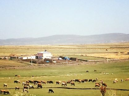 Ardahan Hacıali Köyü Resimleri 4