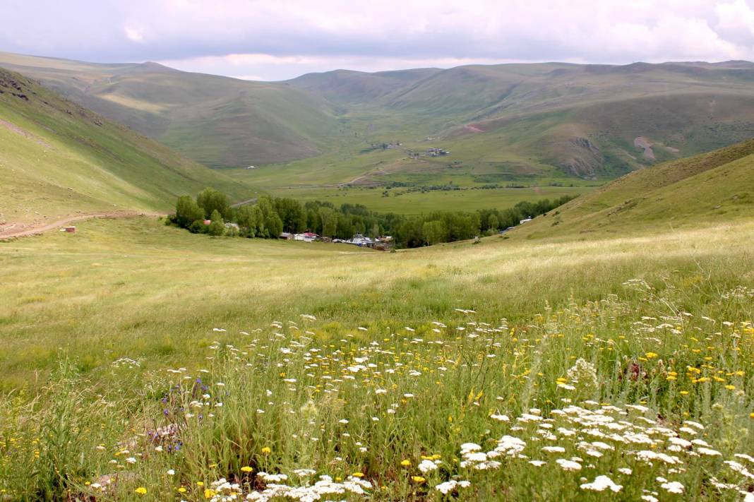 Tuzluca Ünlendi Köyü Resimleri 5
