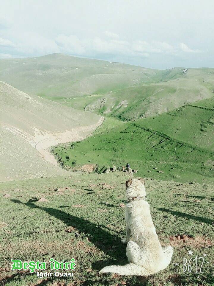 Tuzluca Nahırkıran Köyü Resimleri 6