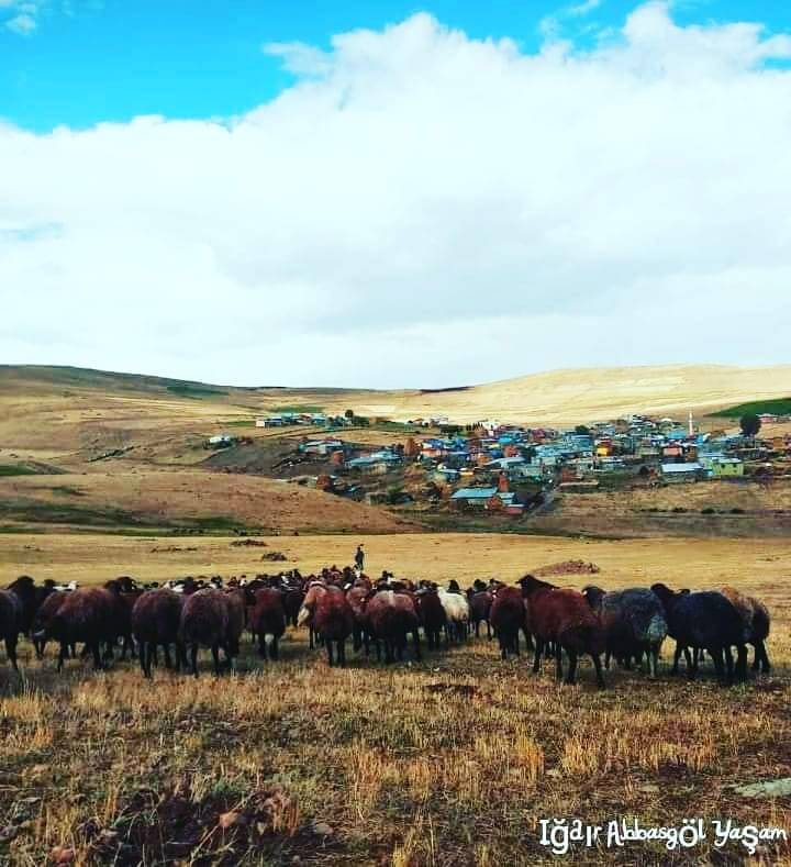 Tuzluca Nahırkıran Köyü Resimleri 7