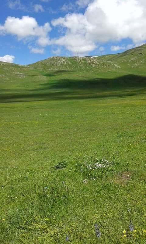 Ardahan Kartalpınar Köyü  Resimleri 2
