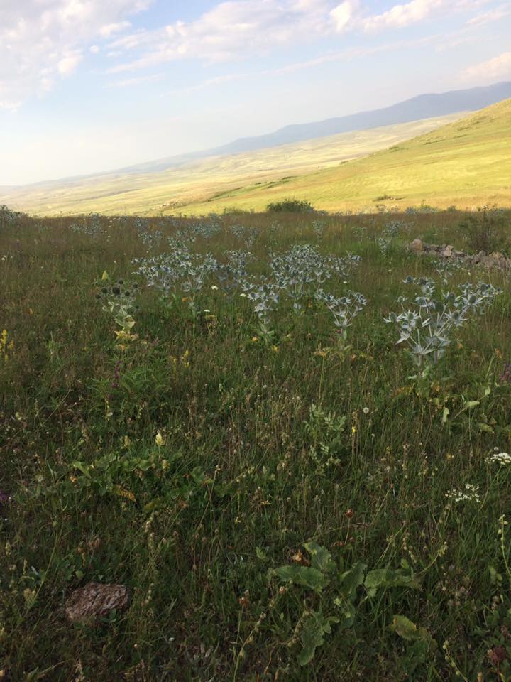Ardahan Kartalpınar Köyü  Resimleri 3