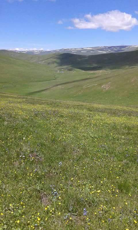 Ardahan Kartalpınar Köyü  Resimleri 4