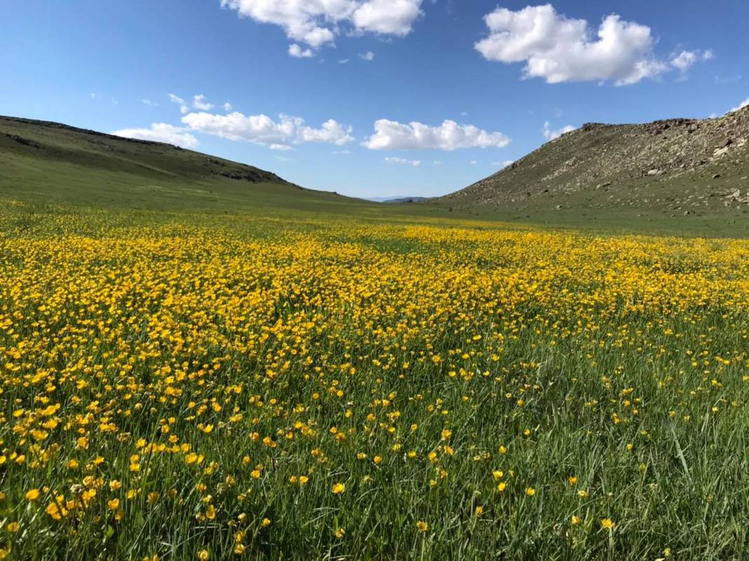 Tuzluca Soğukbulak Köyü Resimleri 7