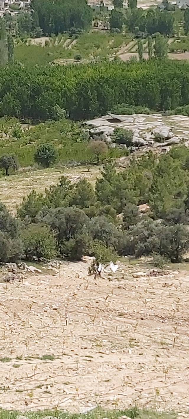 Mut Göcekler Köyü Resimleri 7