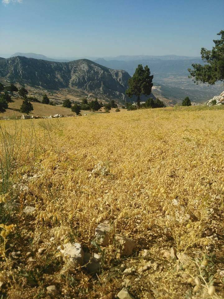 Mut Gökçetaş Köyü Resimleri 9