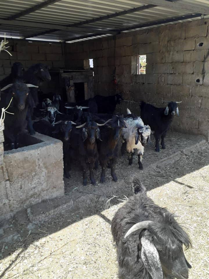 Mut Göksu Köyü Resimleri 9